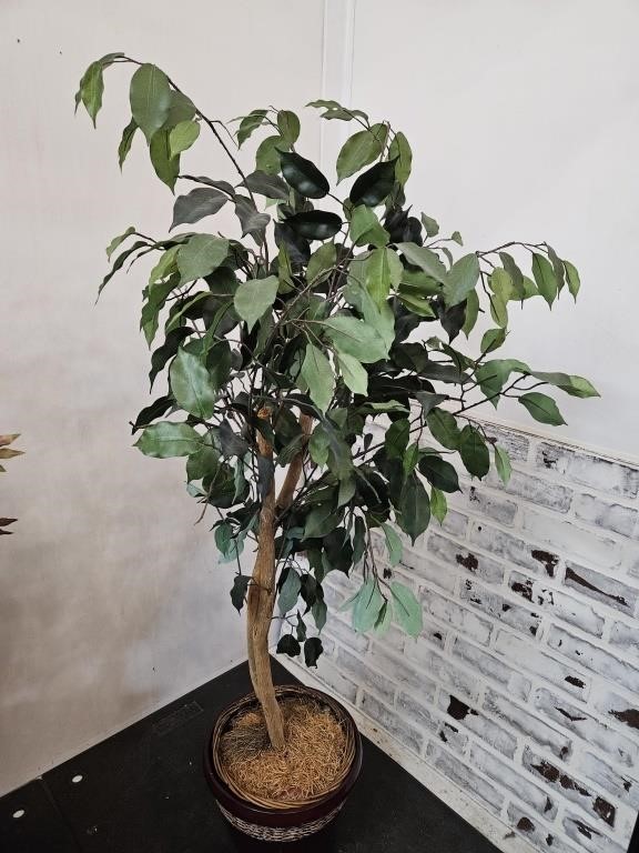 NICE Artificial Plant 54"T