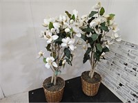 Set of 2 Artificial Magnolia Plants 54" T