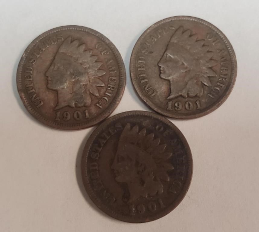 1901 Indian Head Pennies (3)