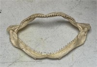 Shark Jaw 9 Inches long
