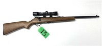 Savage Mark II .22cal L.R.with Bushnell scope
