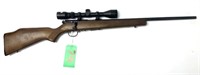 Savage Mark II .22cal LR with Bushnell