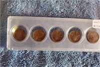 Wheat Penny Set 1954 to 1958