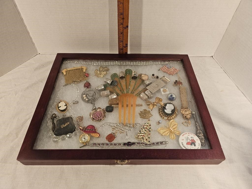 Display Case w/ Mesh Purse, Pins, Broaches