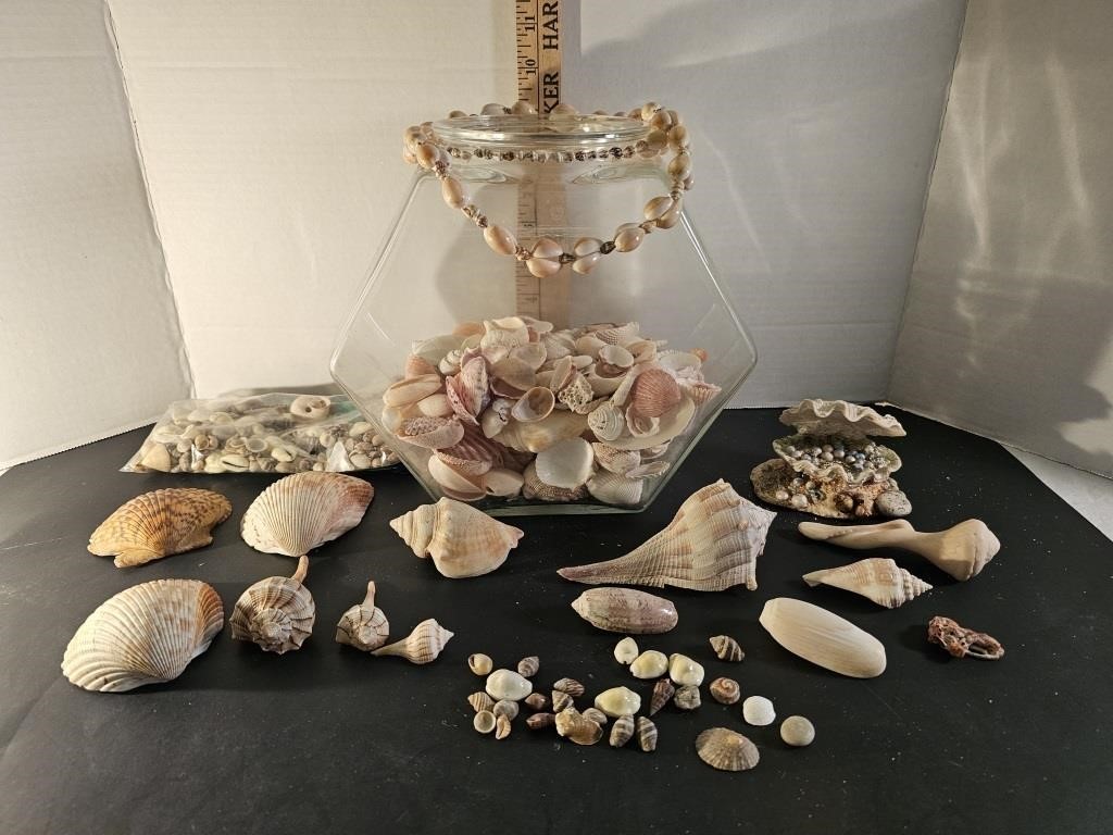 Fish Bowl & Assorted Shells