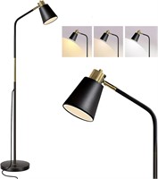 Dimmable Floor Lamp - Adjustable (Black-01)