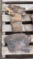 (3) Pieces Petrified Wood