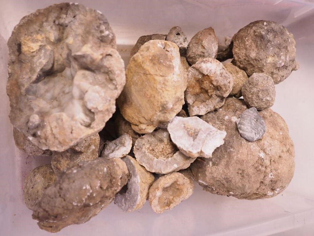Container of geodes