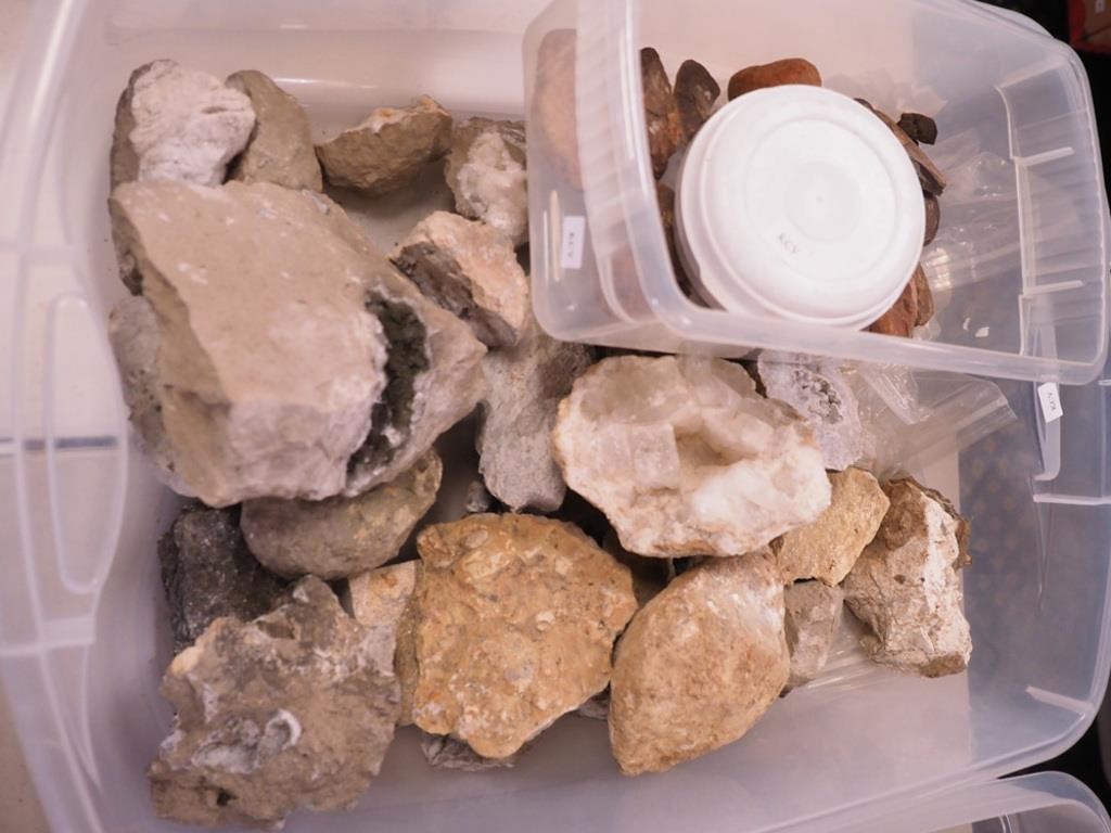 Container of various rocks, quartz, fossils and