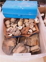 Container of geodes, fossils and more