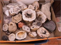Container of geodes, bones, fossils and more