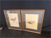 Goose Prints Framed