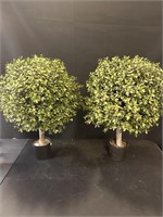 Pair of Faux Boxwoods