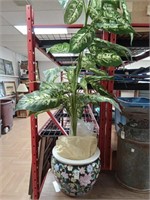 >Artificial plant in planter - approx 4' tall