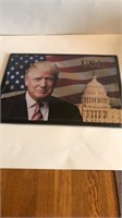 12 in x 17 in Trump-USA metal sign
