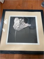 20 inch signed floral art print