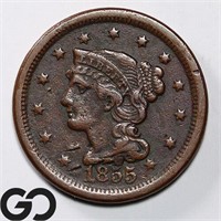 1855 Braided Hair Large Cent, Upright5, VF Bid: 30