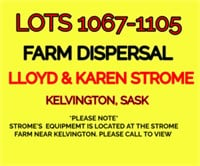 Lots 1067-1105 Lloyd & Karen Strome