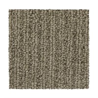4ft As Is Style Selections Taupe Carpet b101