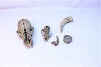 Skulls, Horn Bone Lot