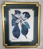 Magnolia-62 Tab LXII Framed Print