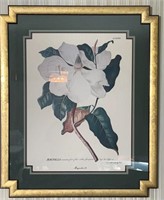 Magnolia-33 Tab XXXIII Framed Print