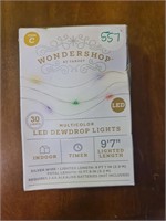 Led dewdrop lights