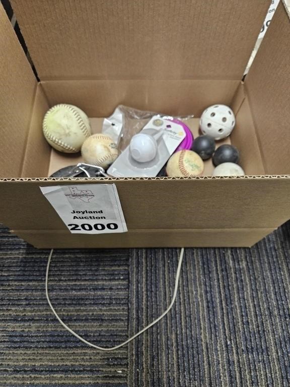 Box of Balls and Pet Toys