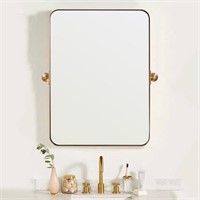 MOON MIRROR 22" x 30" Brushed Gold Metal Framed
