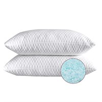 NTCOCO 2 Pillows, Shredded Memory Foam Bed