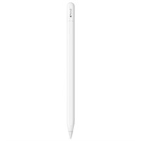 Apple Pencil (USB-C) (NOT TESTED) (SHOWCASE UPSTAI
