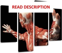 $60  4 Panel Canvas Human Anatomy Art 3D Prints