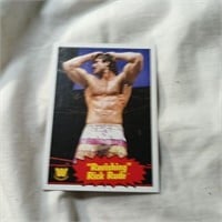 Topps Rick Rude WWE Heritage Trading Cards