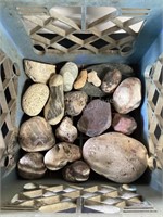 Crate of Rocks, Fossils, and More