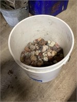 Bucket of Interesting Rocks and Fossils