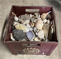 Milk Crate of Shells, Rocks, and More