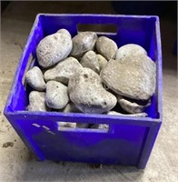 Milk Crate of Rocks & Fossils