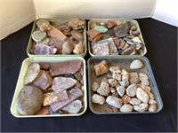 4 Trays of Rocks, Fossils, Petoskey Stones