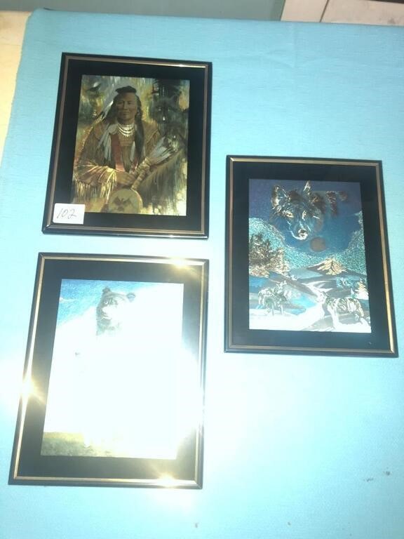 Framed pictures native american