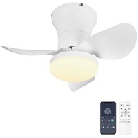 Ohniyou Ceiling Fan with Lights and Remote - 21''
