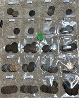 (334) Indian Head Coin Collection