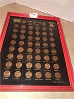 Land of the USA 1974 pennies framed