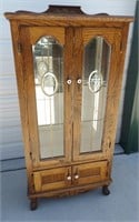 Modern Glass Front Curio Cabinet