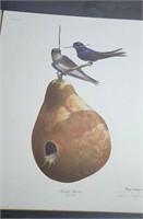 Purple Martin print by Ray Harm signed approx 16