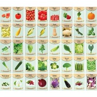 Set of 40 Heirloom Vegetable Garden Seeds - 100% N