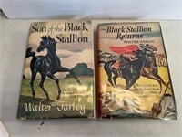 William Farley Black Stallion Books