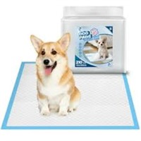 Dog Potty Training in Dogs