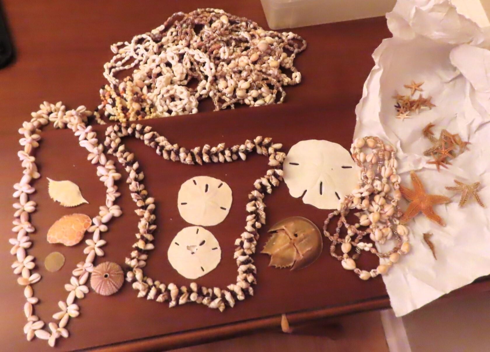 Sand Dollars, Shell Necklaces, Star Fish, Sea