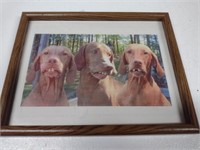 Red Neck Dogs Framed Picture