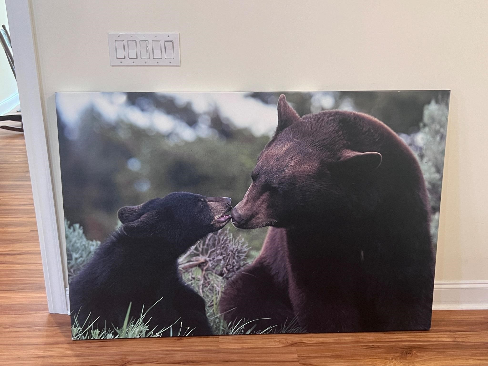 Bear family canvas